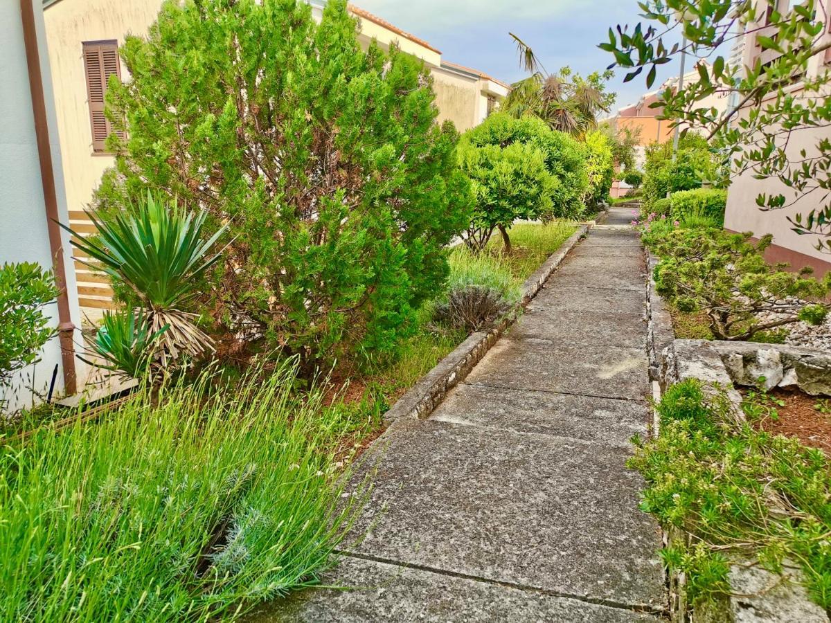 Lavandula Labin  Exterior foto